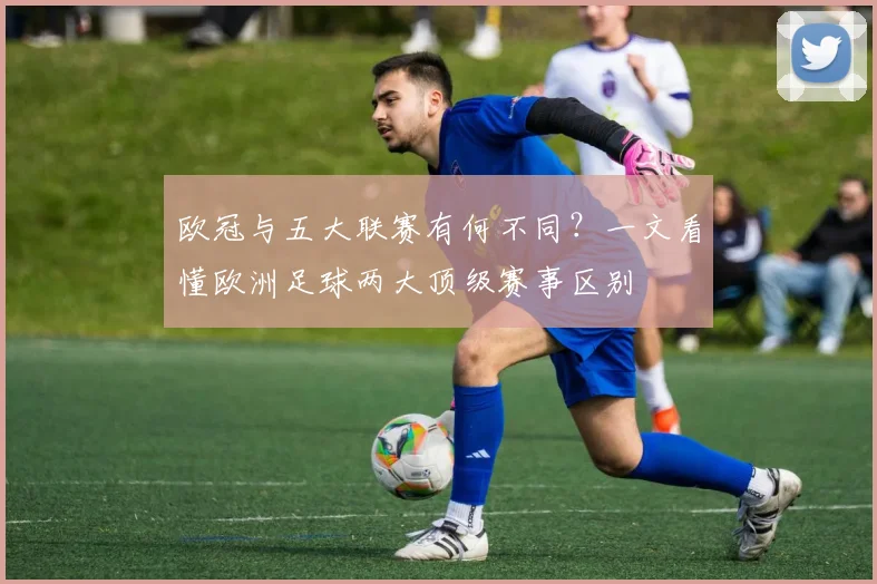 欧冠与五大联赛有何不同？一文看懂欧洲足球两大顶级赛事区别